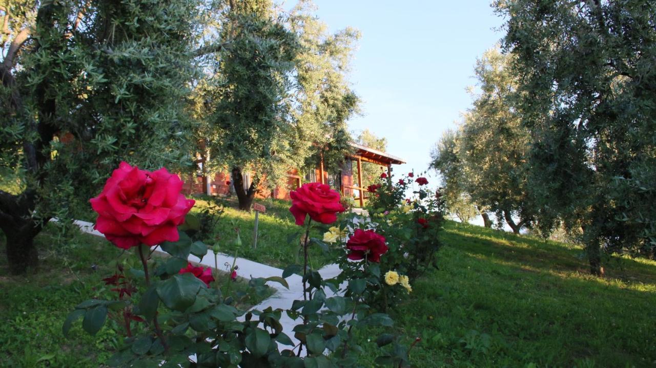 Agroturizem Bylis Hotell Hekal Exteriör bild