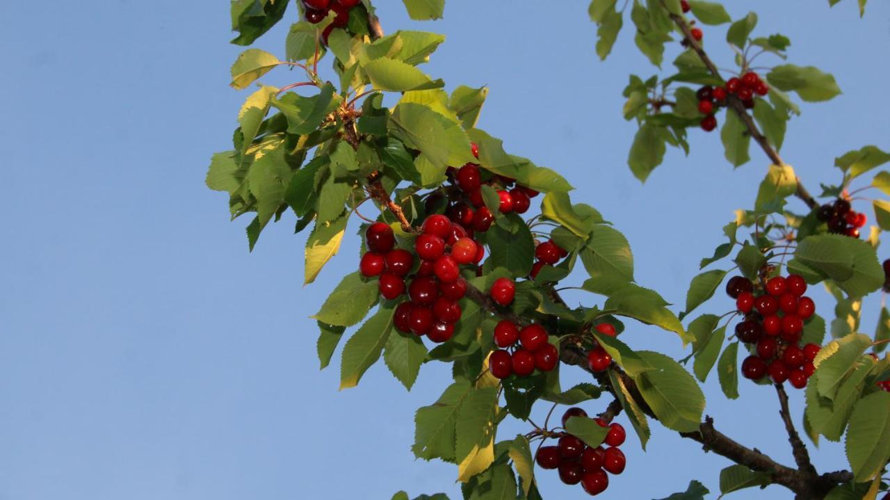 Agroturizem Bylis Hotell Hekal Exteriör bild