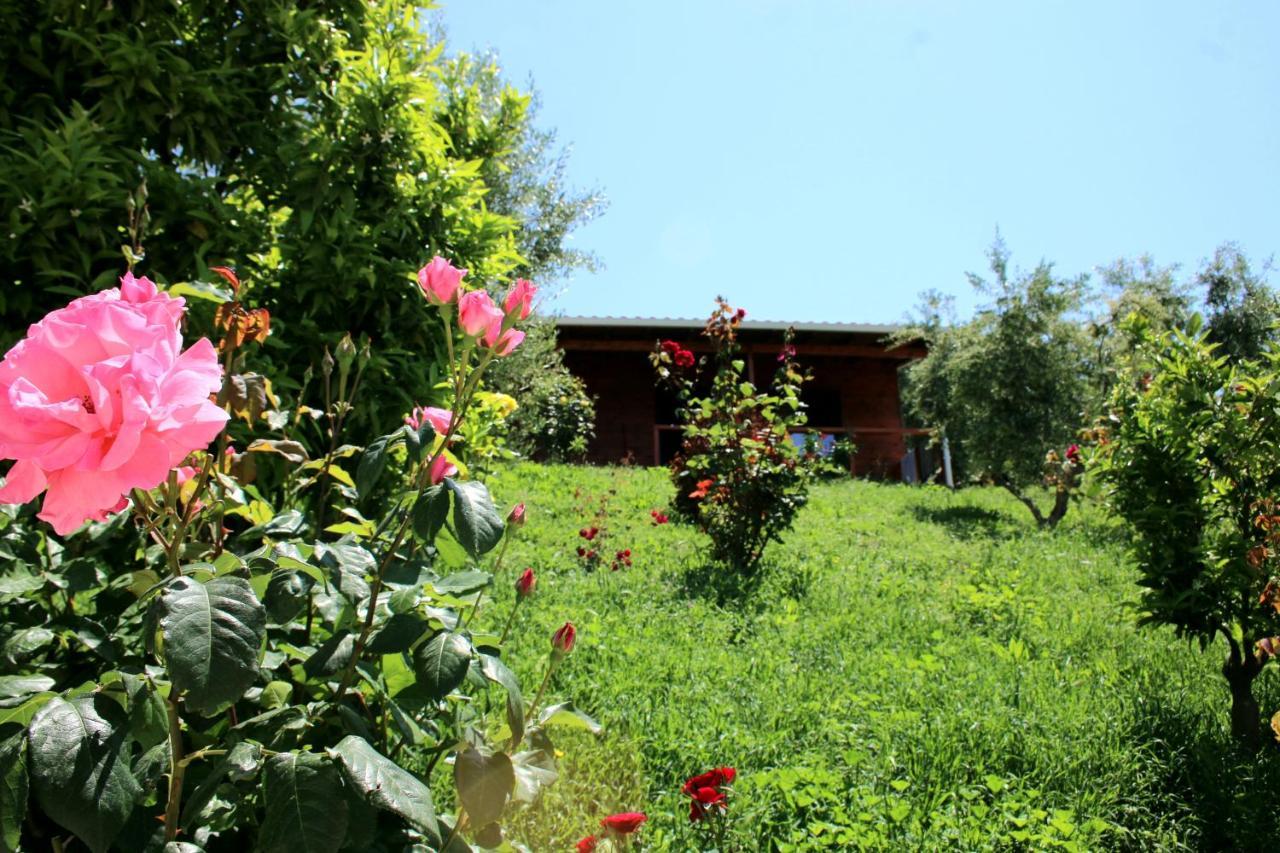 Agroturizem Bylis Hotell Hekal Exteriör bild